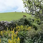 Feriehus Waingate *